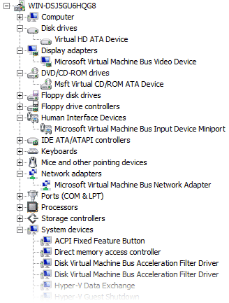 Hyper-V Guest Device Manager